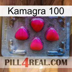 Kamagra 100 13